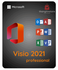 Office 2021 Professional Plus