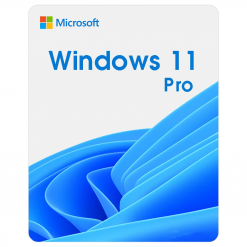 Windows 11 Pro