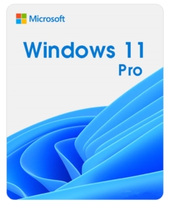 Windows 11 Pro