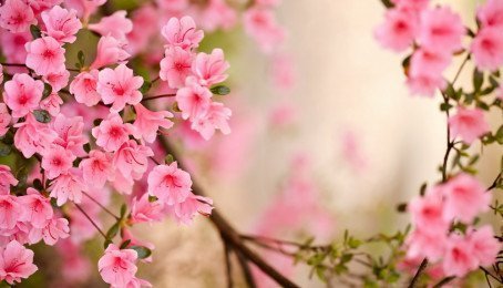 lich nghi tet am lich 2023 3