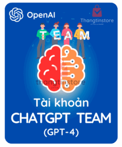 gói tài khoản chatgpt team